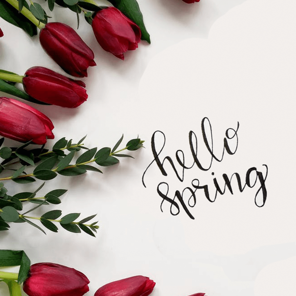 Hello spring flowers.