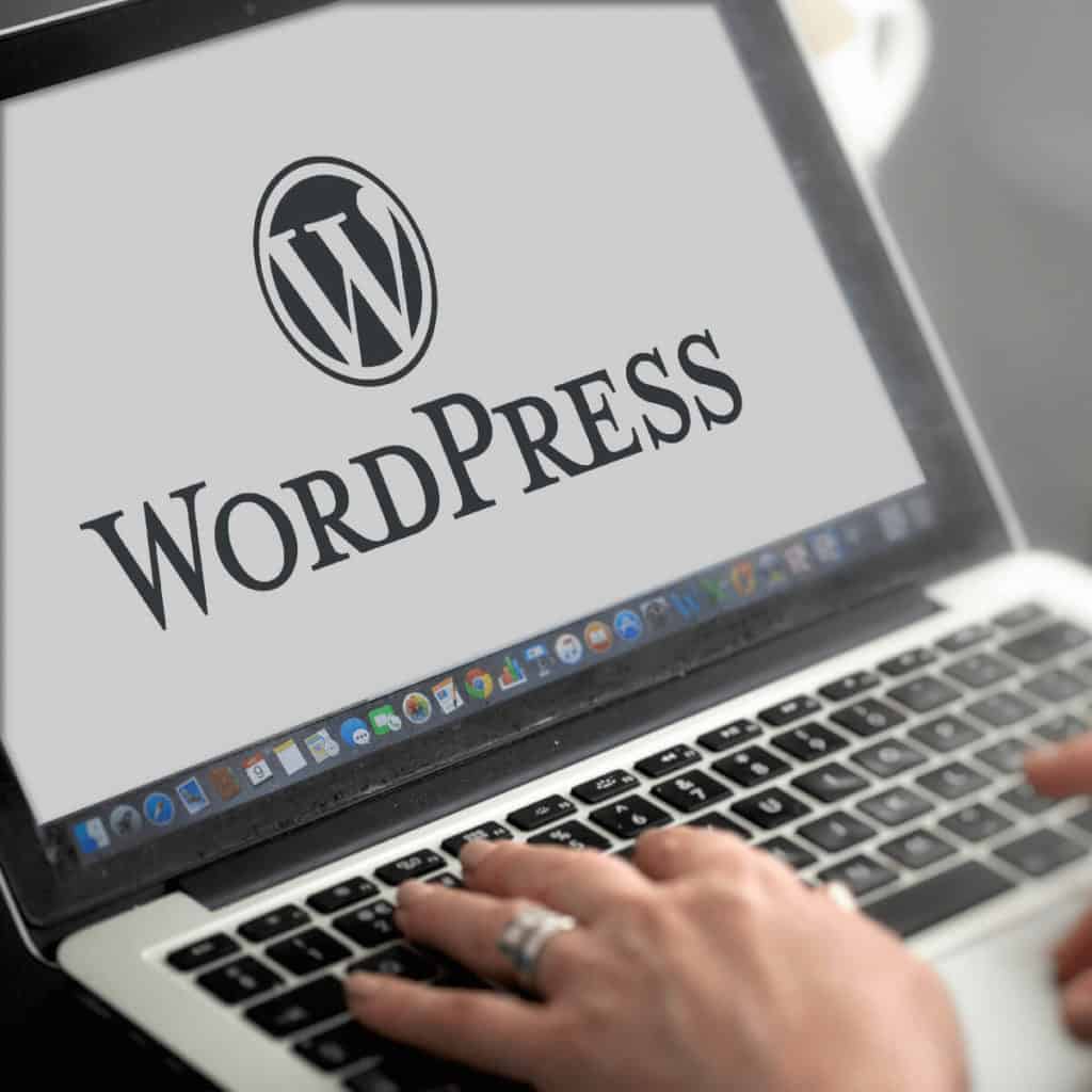 Making WordPress websites work